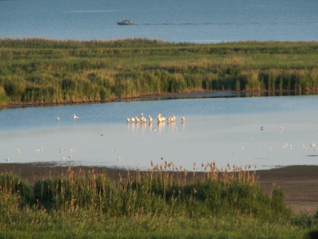 鹈鹕小屋 (126 m²) : 外部景观