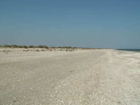 混合科学保护区——向北延伸的黑海沙滩