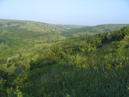 六月Gura Dobrogei & Cheia自然保护区内的喀斯特地貌