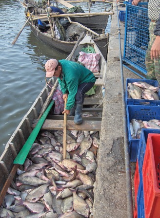 Im Hafen von Jurilovca